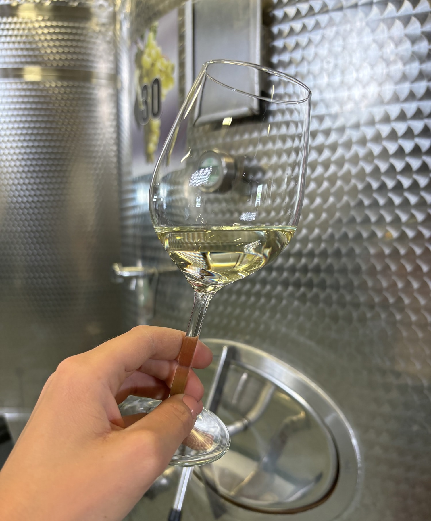 hoto of a wine glass in the cellar