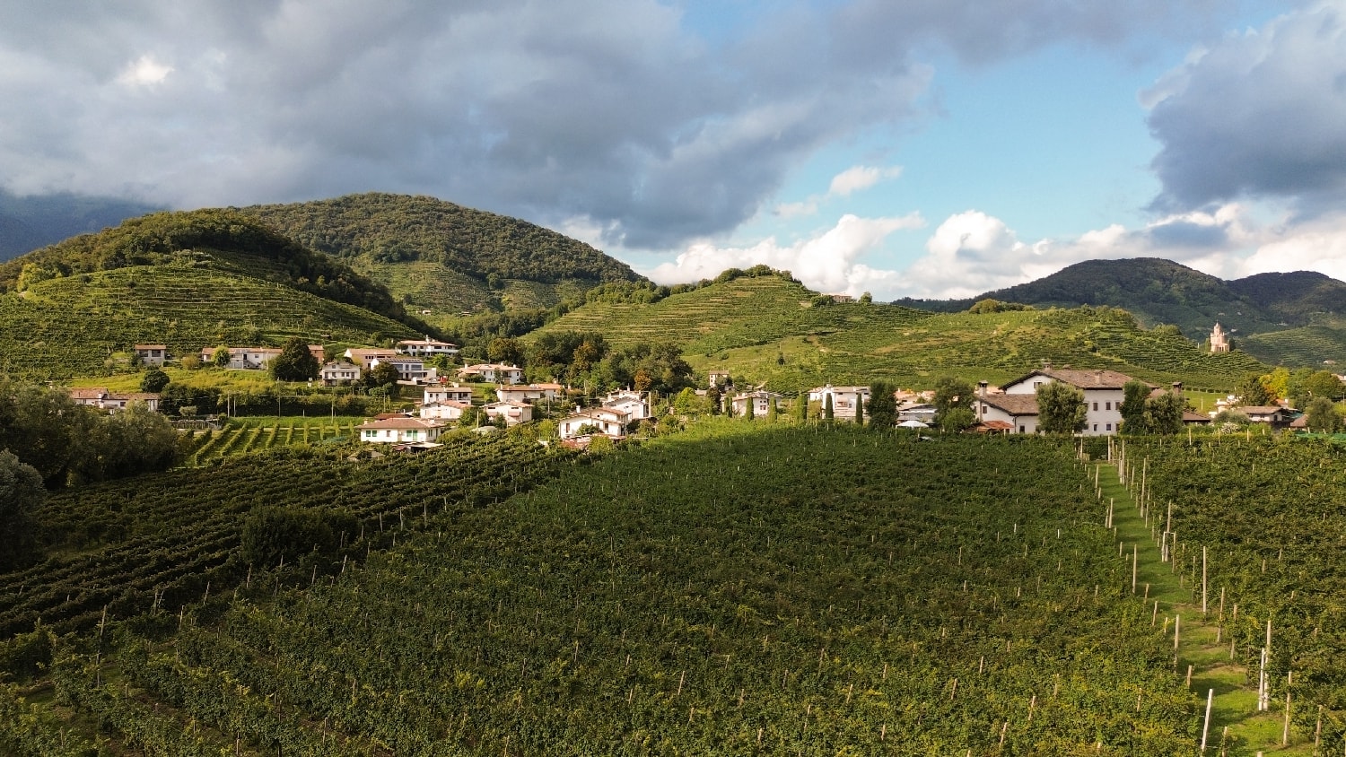 Panorama delle colline del Prosecco Superiore DOCG