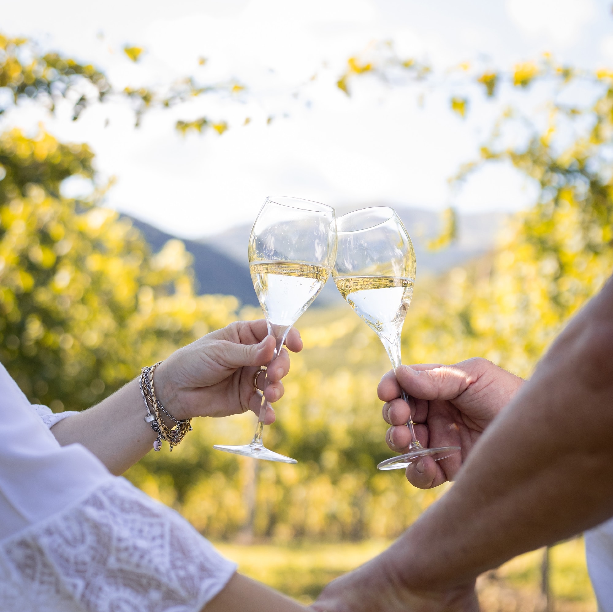Photo of husband and wife making a toast in the vineyards