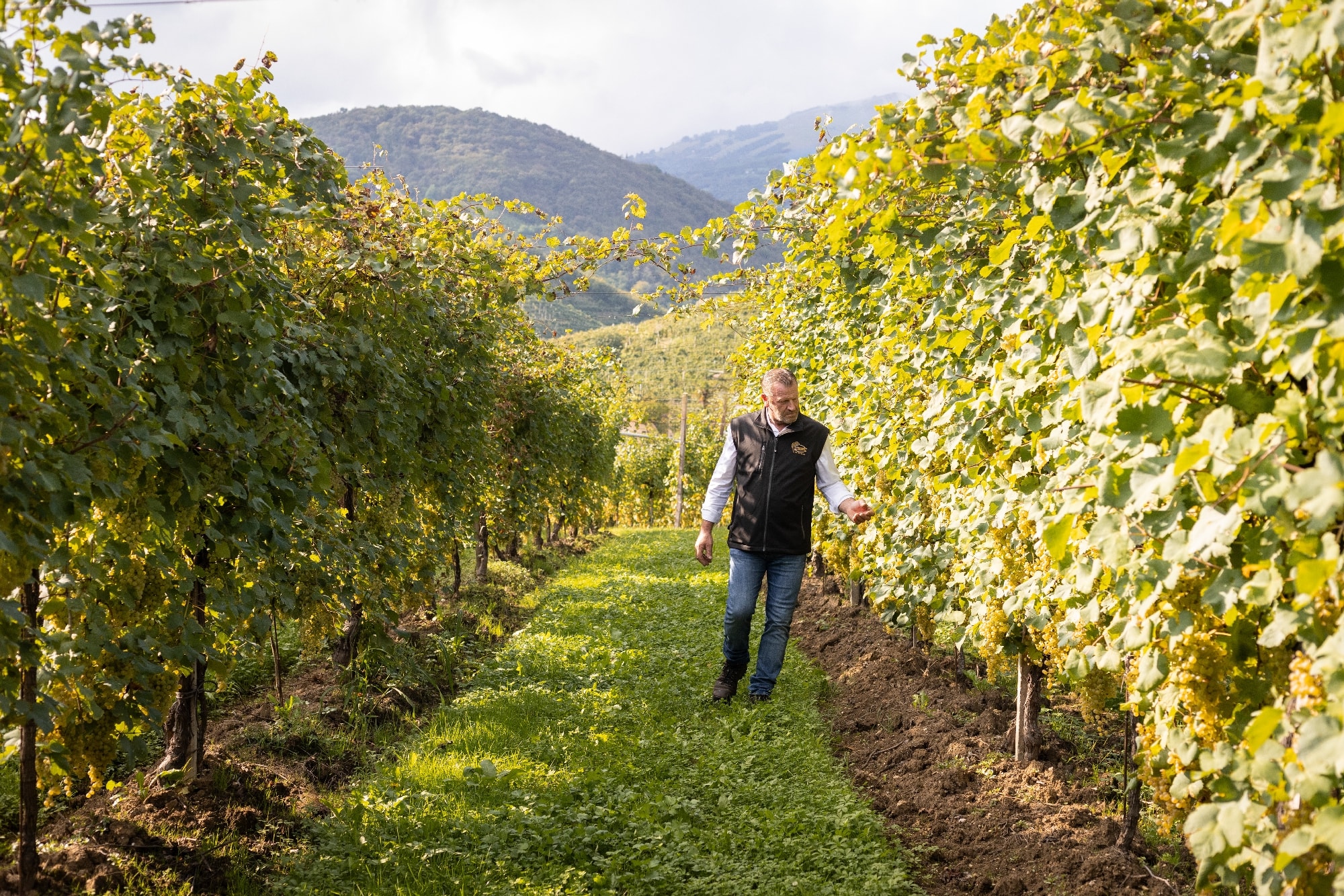 Photo of Daniele Merotto among his vineyards