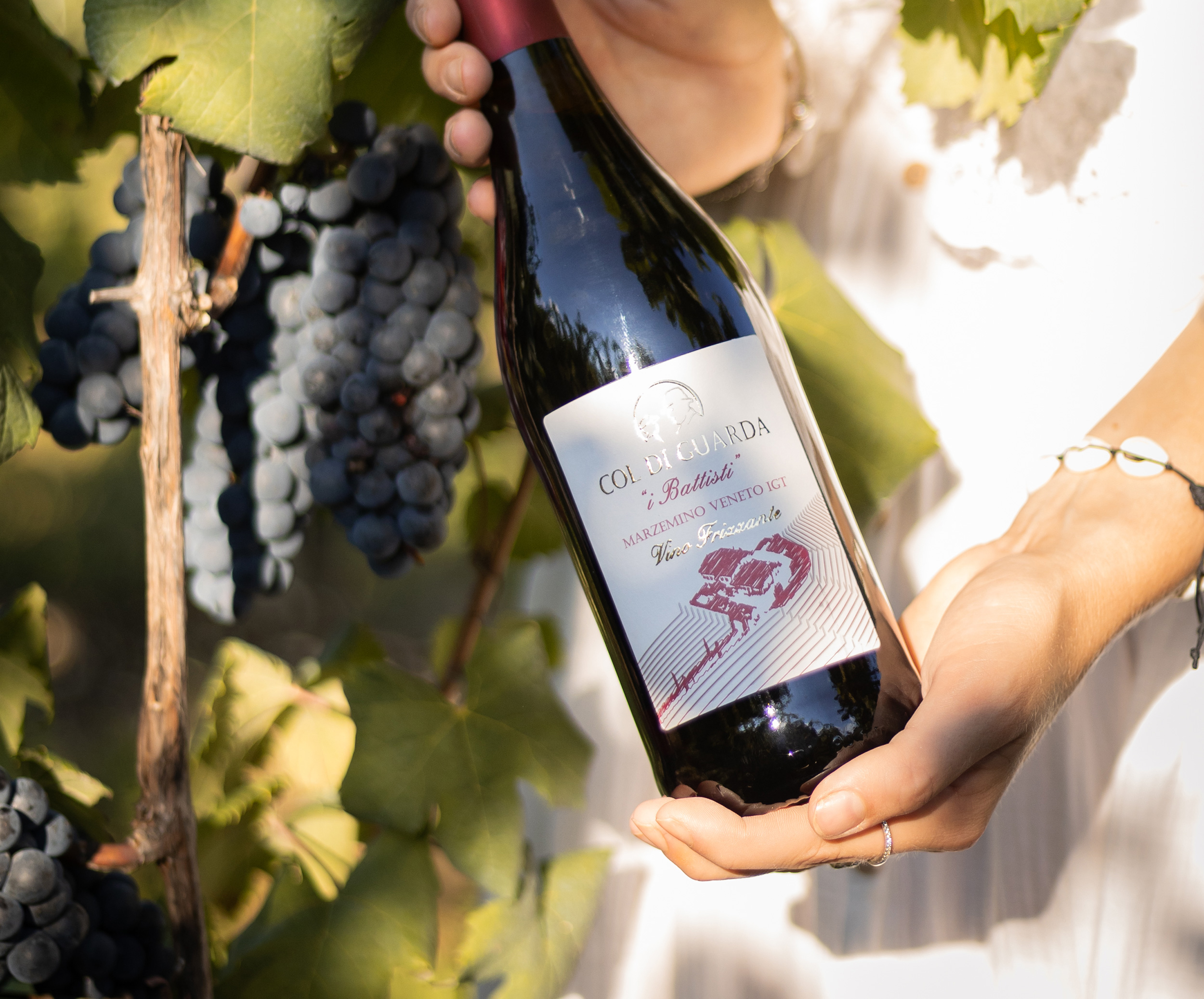 Foto ambientata del vino Marzemino Veneto IGT frizzante della cantina Col di Guarda